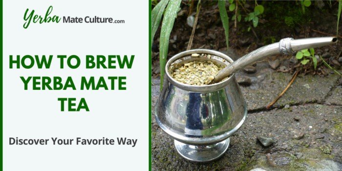 How to brew yerba mate tea