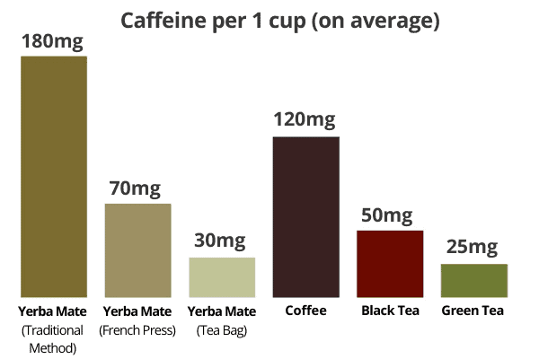 Yerba mate caffeine content vs coffee and tea