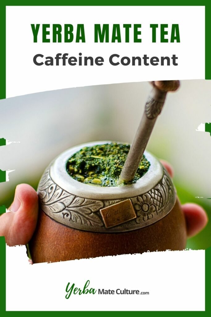Yerba Mate Caffeine Content Surprizing Facts!