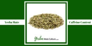Yerba Mate Caffeine Content - All You Need to Know