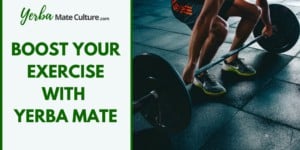 Boost Your Exercise with Yerba Mate