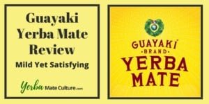 Guayaki Yerba Mate Review