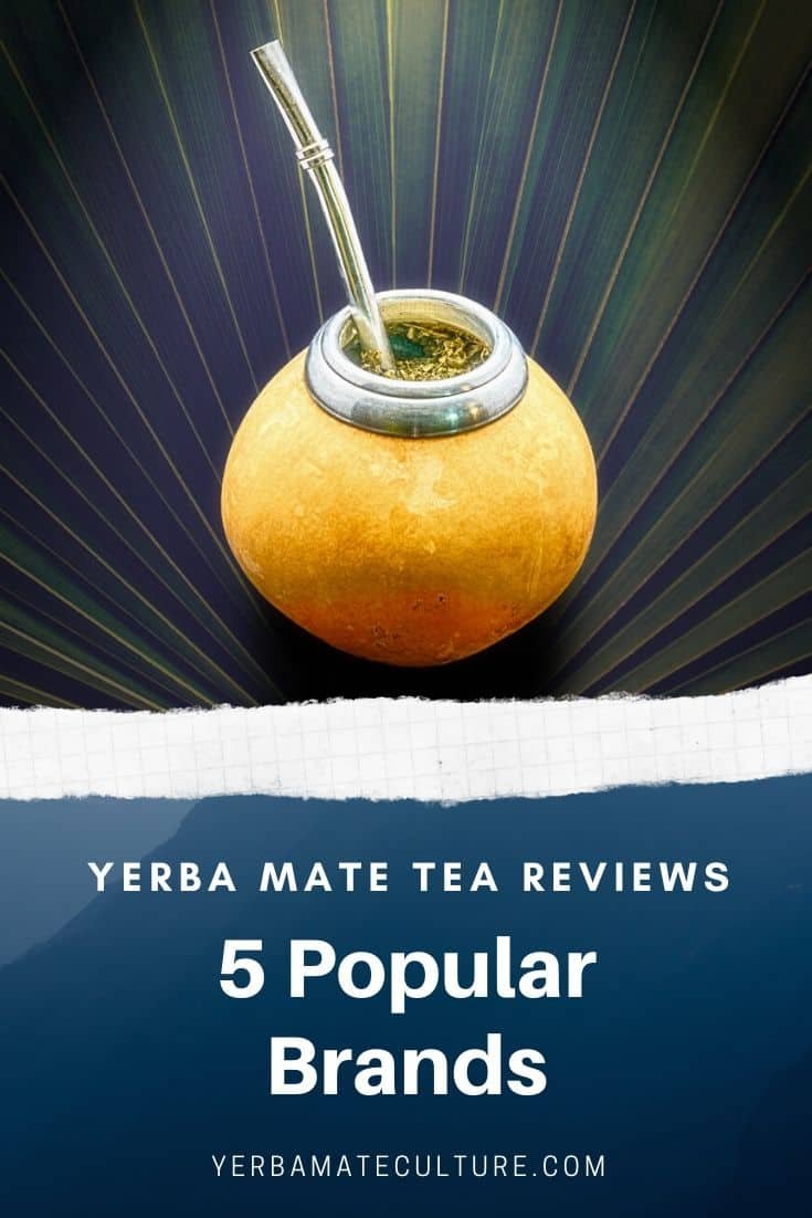 Yerba Mate Tea Reviews Best Brands
