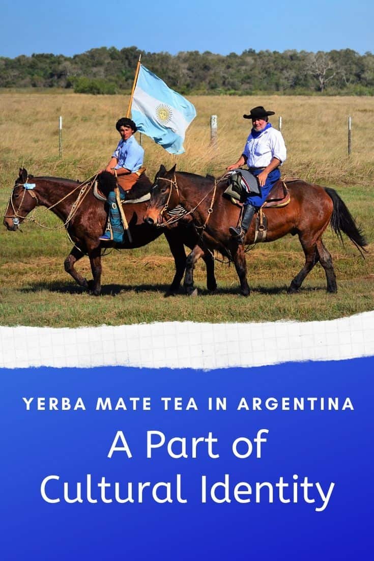 Yerba mate culture in Argentina