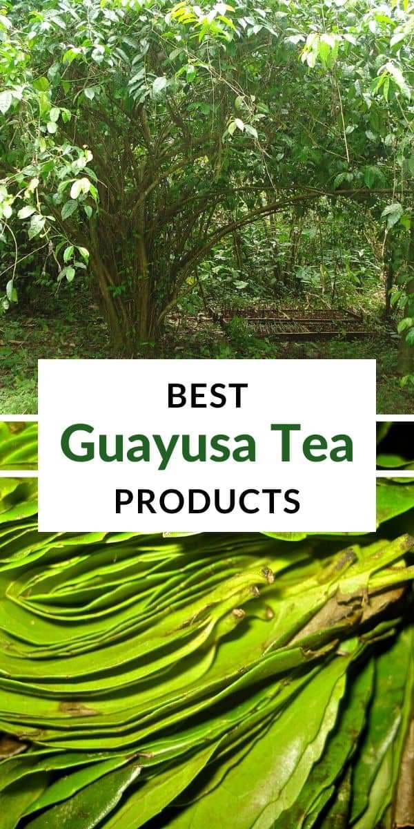 best guayusa tea products