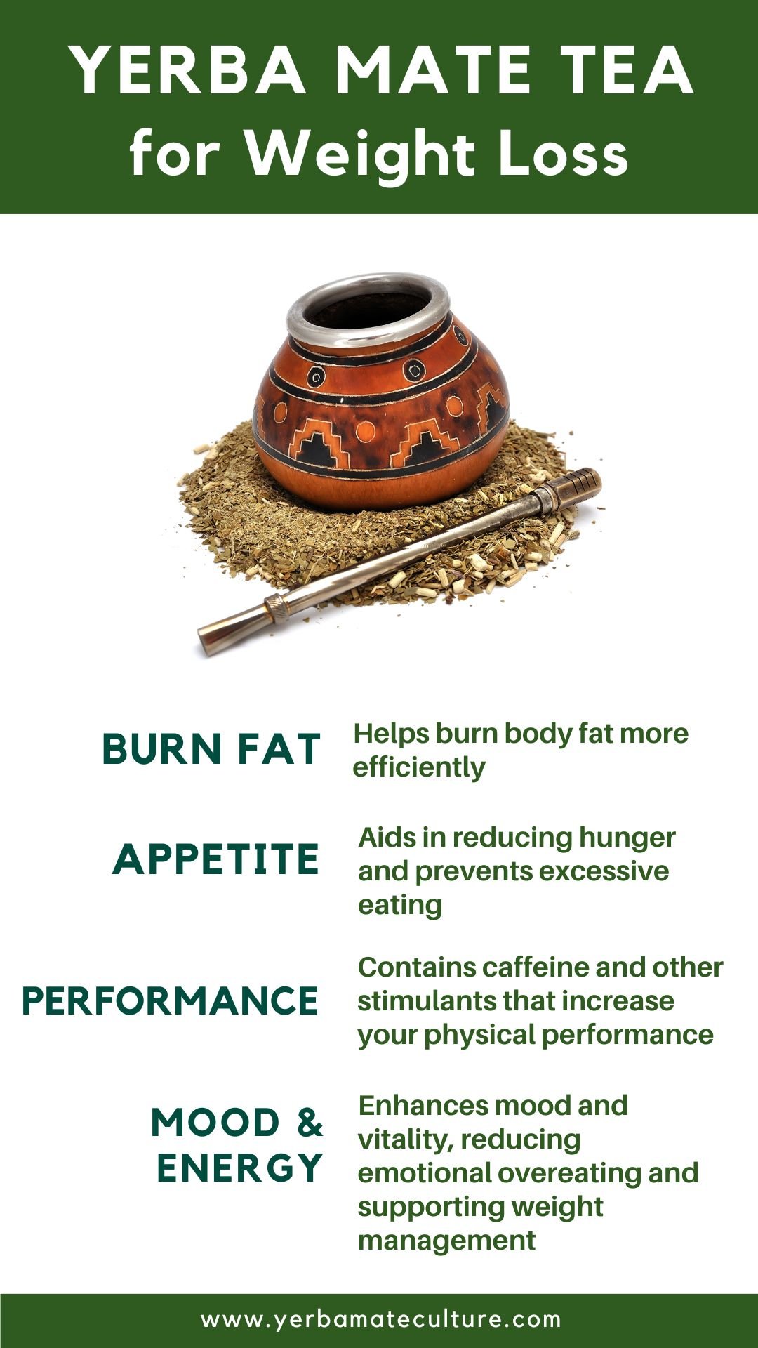 Yerba Mate And Intermittent Fasting For Fat-Loss (GUIDE) - Yerba