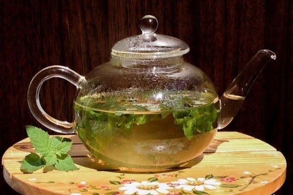 fresh mint tea