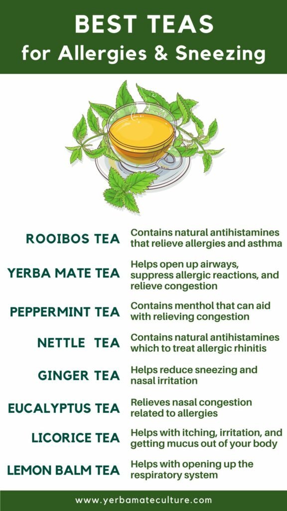 8 Best Herbal Teas for Allergies - Find a Natural Relief