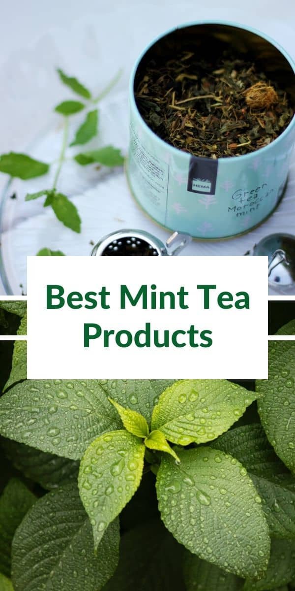 what are the best mint tea products