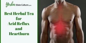 Best Herbal Tea for Acid Reflux and Heartburn