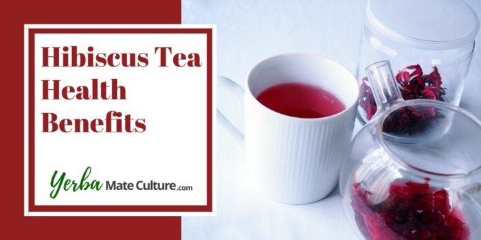 Hibiscus Tea Health Benefits
