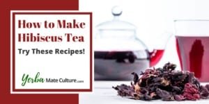 How to Make Hibiscus Tea – Try These Recipes!