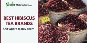Best Hibiscus Tea Brands