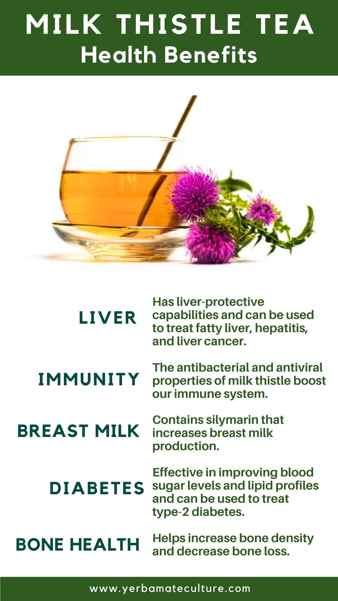 milk thistle tea benefits
