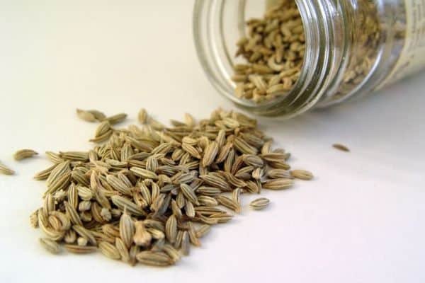 fennel seeds