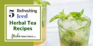 5 Refreshing Iced Herbal Tea Recipes for Summer