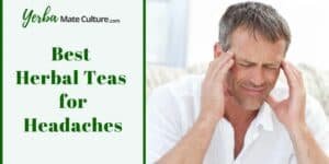 5 Best Herbal Teas for Headaches and Migraines