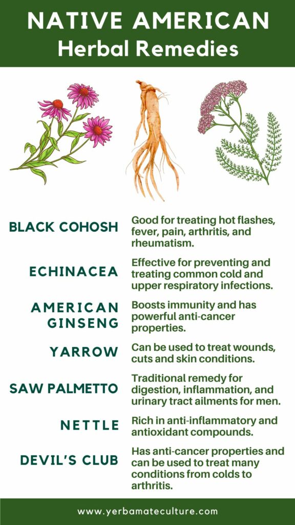 7 Sacred Native American Herbal Remedies