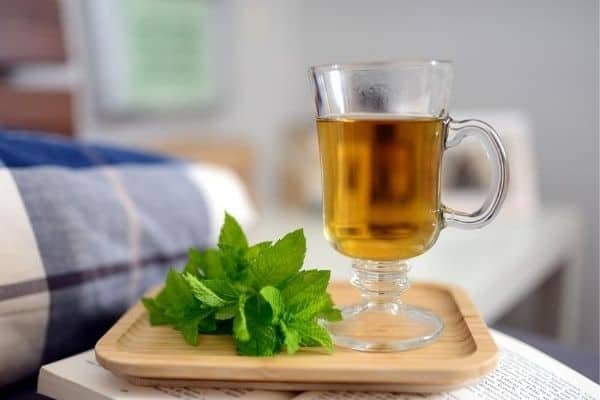 fresh peppermint tea