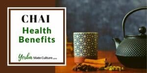 Masala Chai Health Benefits - Did You Know this Indian Tea is Super Healthy?