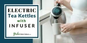 5 Best Electric Tea Kettles with Infuser in 2023 Reviewed