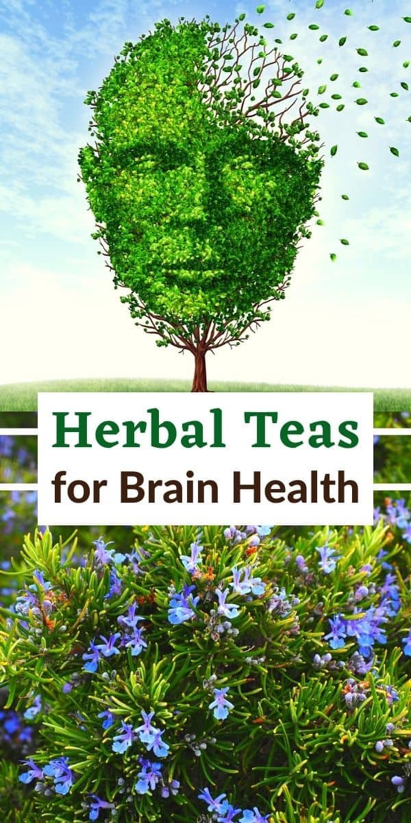 best herbal teas for brain memory focus