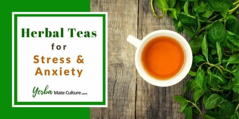 Best Herbal Teas For Stress And Anxiety Find A Natural Relief 