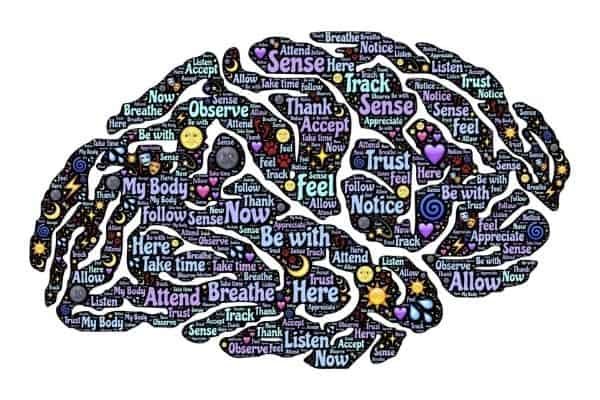 brain functions memory focus