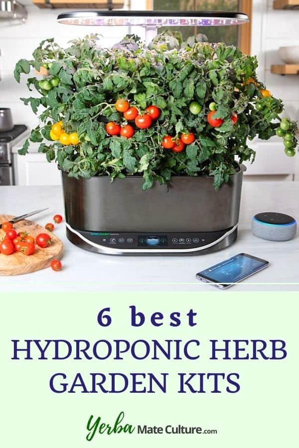 Hydroponic Herb Garden Kits for Indoors
