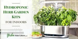 Best Hydroponic Herb Garden Kits for Indoors - Grow Your Own Food Around the Year