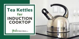 6 Best Tea Kettles for Induction Cooktops in 2023 Reviewed