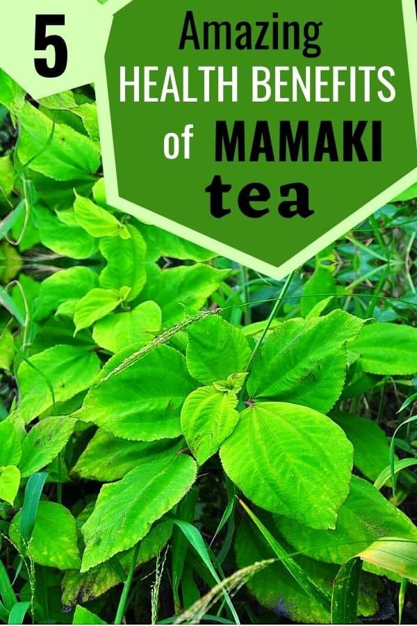 health benefits of mamaki tea