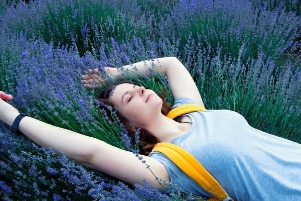 lavender promotes sleep