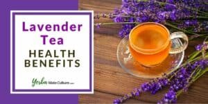 Lavender Tea Benefits, Side Effects, and How to Make It