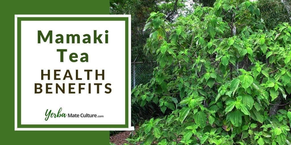 mamaki tea benefits