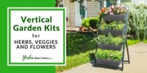 Best Vertical Garden Kits for Herbs, Veggies, and Flowers
