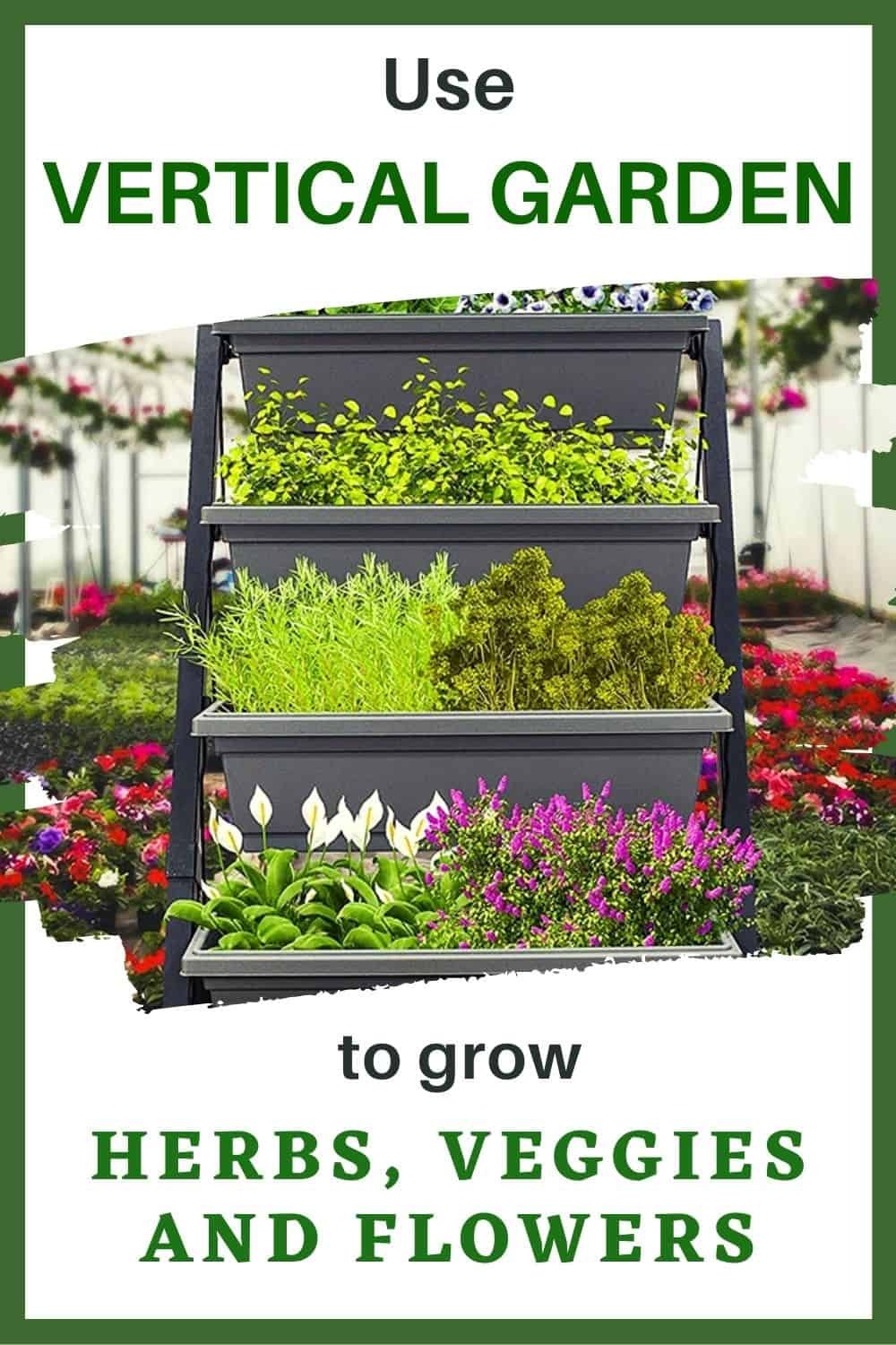 vertical gardens for herbs veggies flowers