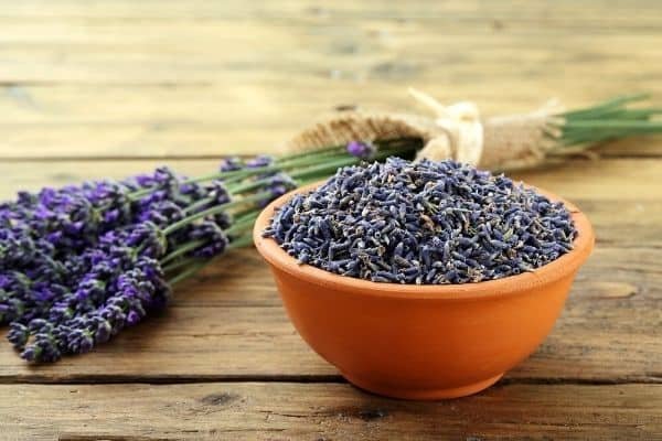 dried lavender buds