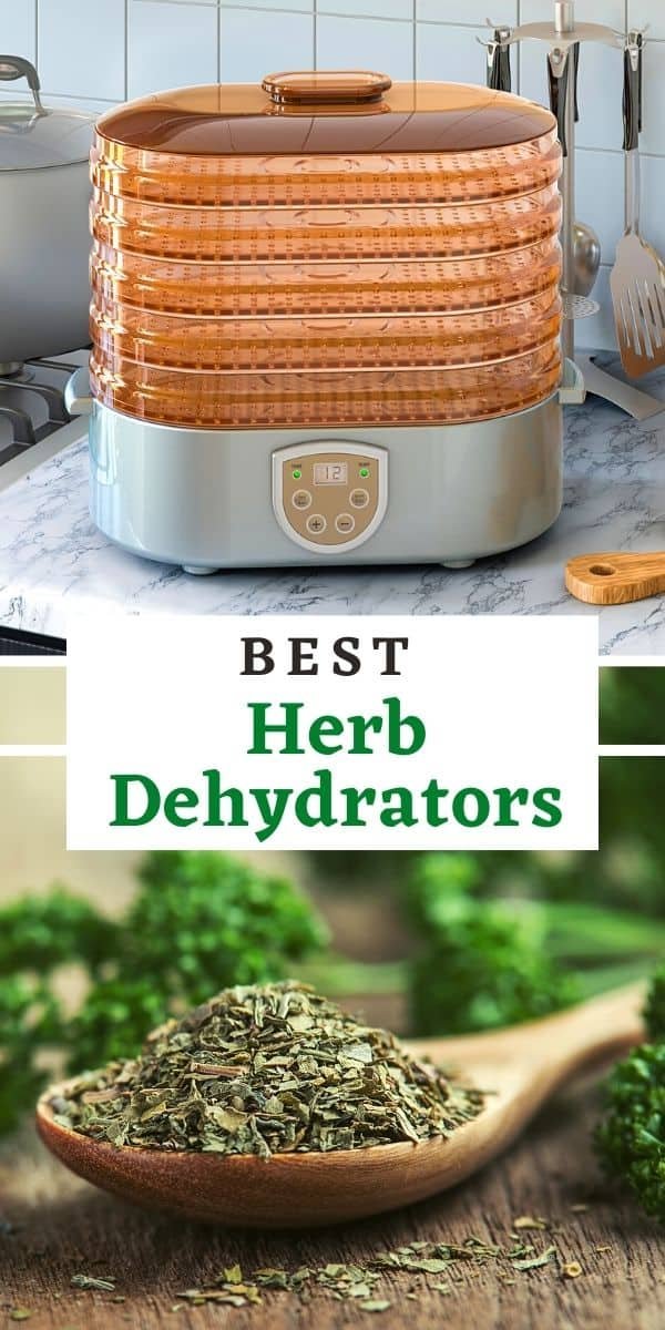 food dehydrators for herbs