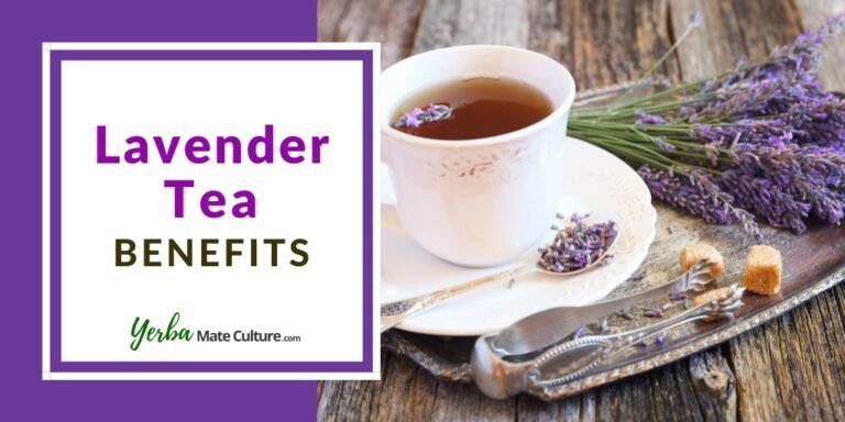 7 Amazing Lavender Tea Benefits & How to Make It