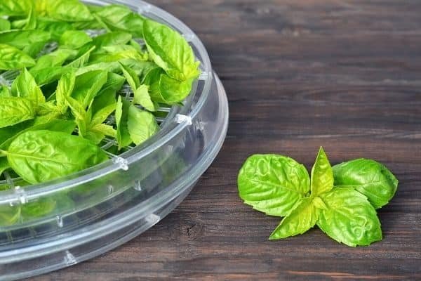 stackable herb dehydrator