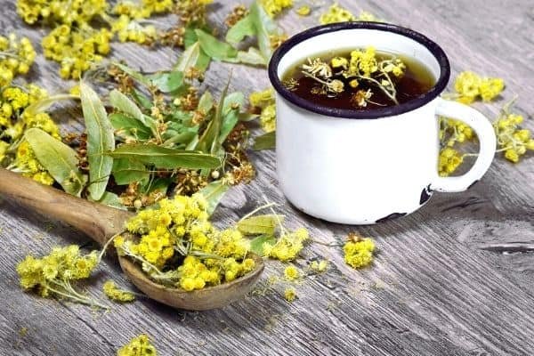 a cup of herbal tea