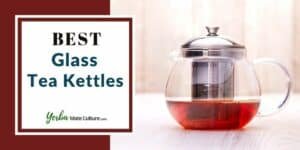 Best Glass Tea Kettles in 2023 Reviewed [Electric and Stovetop]