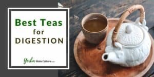 Best Teas For Digestion - Try These Herbal Remedies!