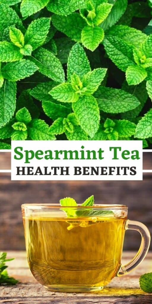 healthy spearmint tea