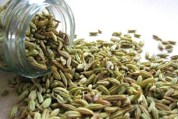 fennel seeds