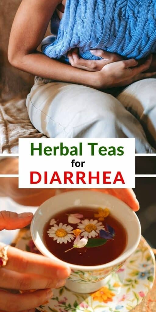 herbal teas for diarrhea