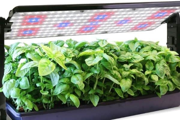 AeroGarden Grow Lights