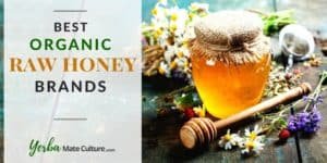 best raw organic honey brands