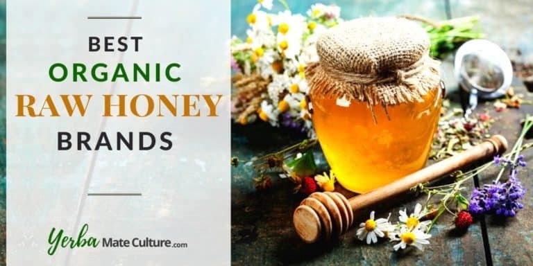 7 Best Organic Raw Honey Brands Reviewed [2023]